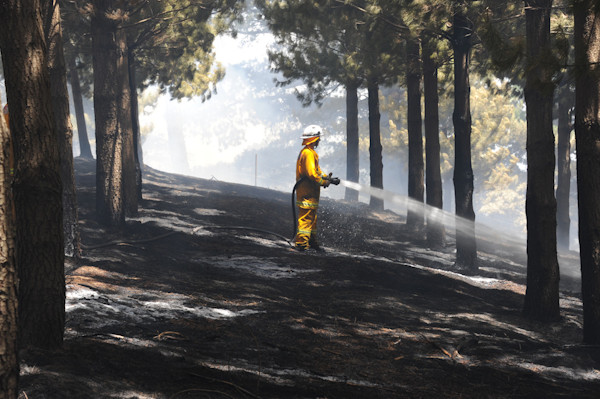 Grass and forest fire, Forest Range -December 2011