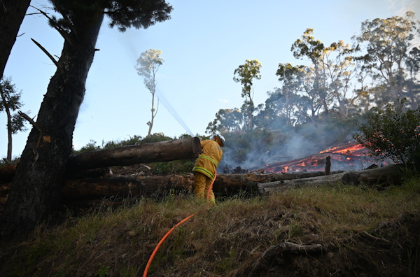 Tree fire, Basket Range