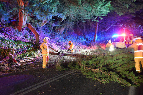 Tree down, Basket Range