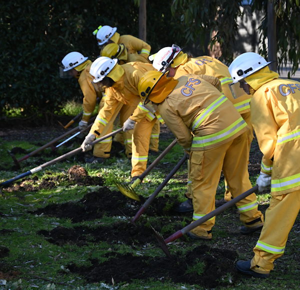 Cadet BF1 Course, STC