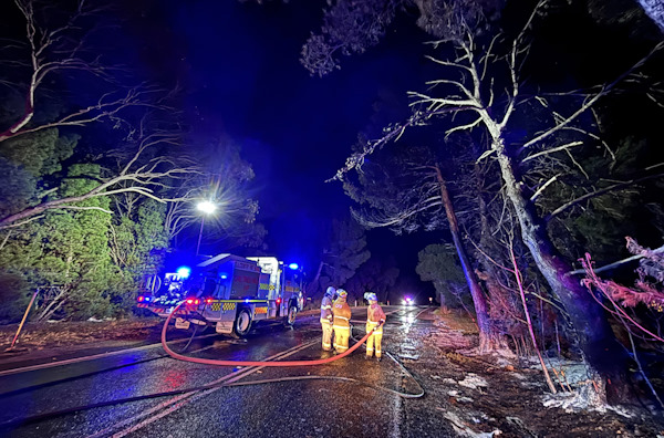 Car and tree fire, One Tree Hill