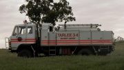 Tarlee 34