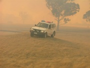 Naracoorte Car 1