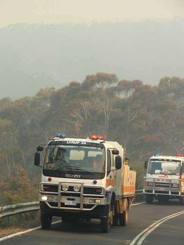 DSCF8648