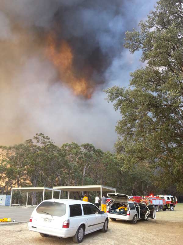 gr-springwood-