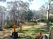 SAM_1053