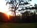 SAM_1070