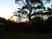SAM_1071