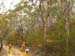 jg-backburn-bluemtnp-201013-2