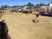 mb-penrith241013-