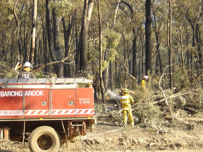 Ash pic from Vic Fires 17th Feb 09 044