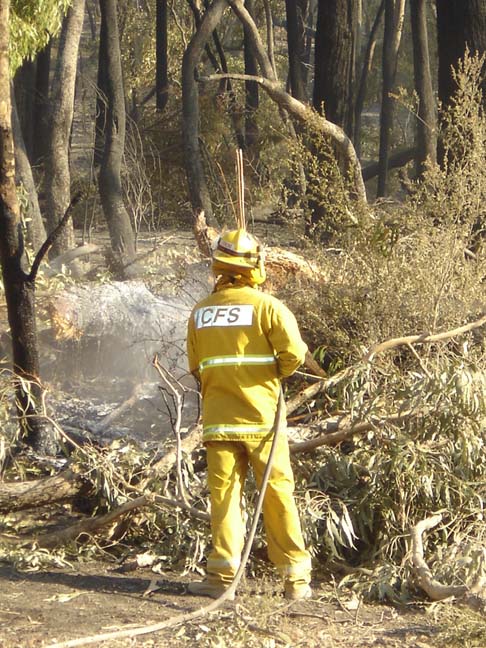 Ash pic from Vic Fires 17th Feb 09 045