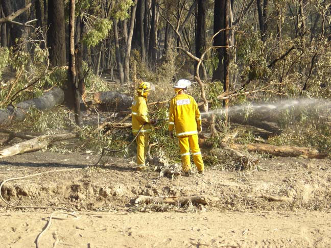 Ash pic from Vic Fires 17th Feb 09 046