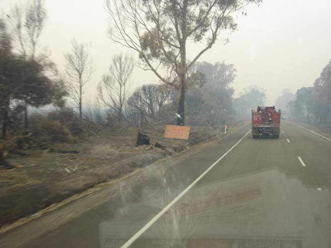 Ash pic from Vic Fires 17th Feb 09 068