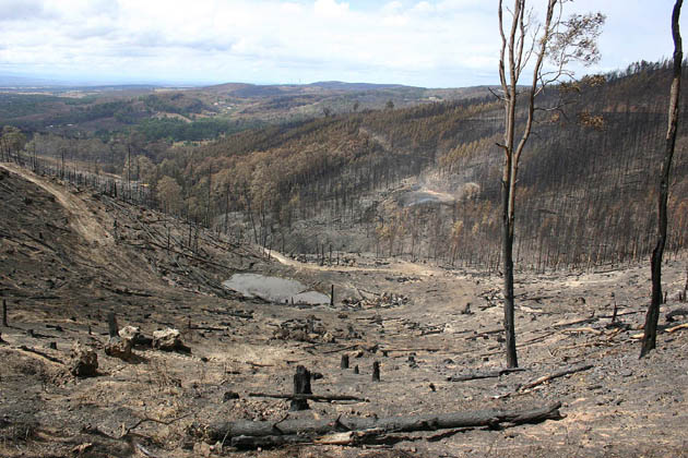 Churchill Area 1