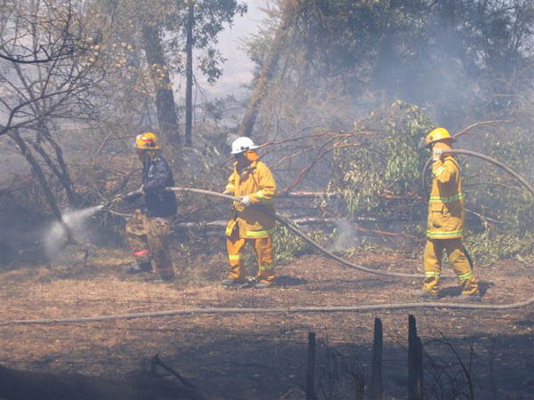 Churchill Fire (Vic) Feb 09 035 (Medium)