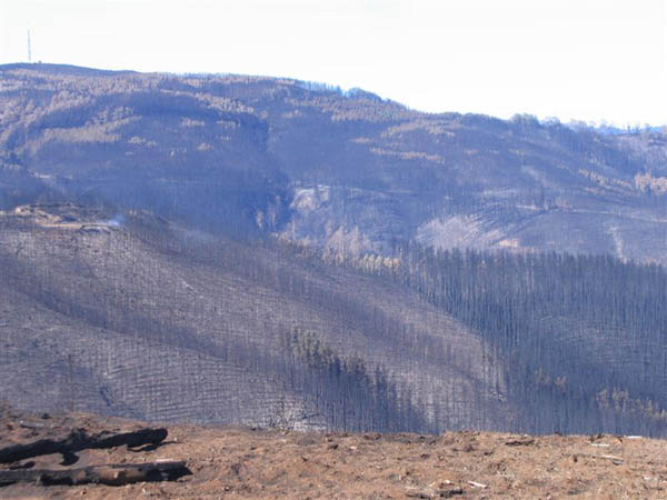 Churchill Fire (Vic) Feb 09 054 (Medium)