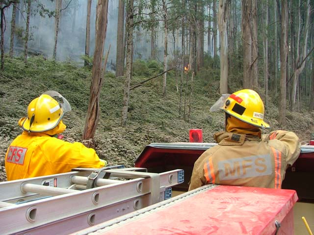 DSCF4775