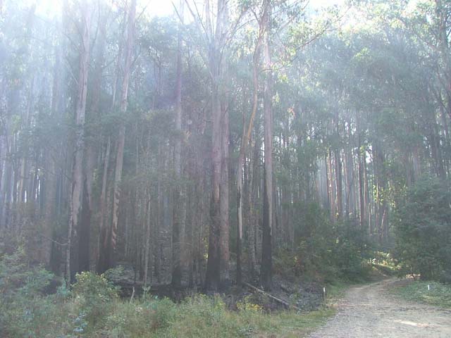 DSCF4819