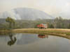 Ash pic from Vic Fires 17th Feb 09 020