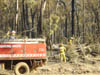 Ash pic from Vic Fires 17th Feb 09 044