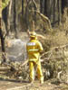 Ash pic from Vic Fires 17th Feb 09 045