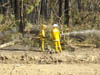 Ash pic from Vic Fires 17th Feb 09 046