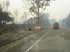 Ash pic from Vic Fires 17th Feb 09 068