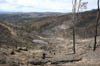 Churchill Area 1