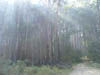 DSCF4819