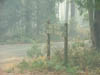 DSCF4959