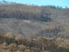 ssm-vic 2009 sheffield 092