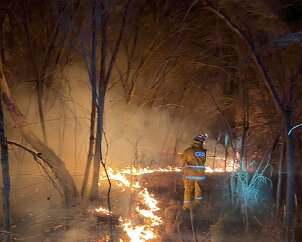 Scrub fire, Wangary from Kylie Kleinig