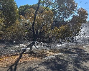 Grass fire, Rowland Flat from Lyndoch CFS