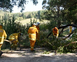 Tree down, Marble Hill from Pip McGowan, CFS Promotions Unit