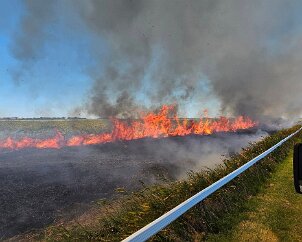 Reed fire, Wellington from Murray Bridge CFS