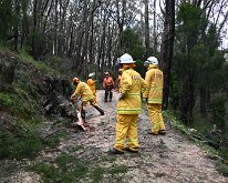 Tree down,Carey Gully from Pip McGowan, CFS Promotions Unit