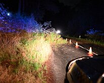 Tree down, Basket Range from Pip McGowan, CFS Promotions Unit