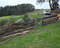 Tree down, Ashton from Ashley Hosking, CFS Promotions Unit