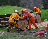 Tree down, Ashton from Ashley Hosking, CFS Promotions Unit