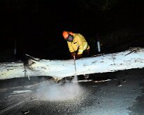 Tree down Basket Range from Pip McGowan, CFS Promotions Unit