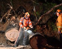 Tree down Basket Range from Pip McGowan, CFS Promotions Unit