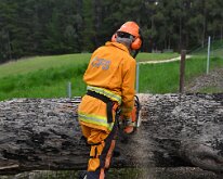 Tree down, Ashton from Pip McGowan, CFS Promotions Unit