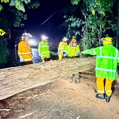Tree down, Piccadilly from Piccadilly CFS