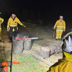 Chainsaw skills maintenance drill, Lenswood from Lenswood CFS
