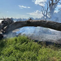 Grass and stump fire, Overland Corner from Barmera CFS