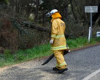 Tree down, Basket Range from Pip McGowan, CFS Promotions Unit