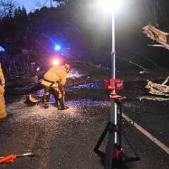 Tree down, Basket Range from Pip McGowan, CFS Promotions Unit