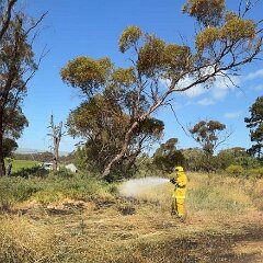 Scrub and grass fire, Bute from Bute CFS