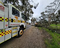 Tree down, Nuriootpa from Nuriootpa CFS